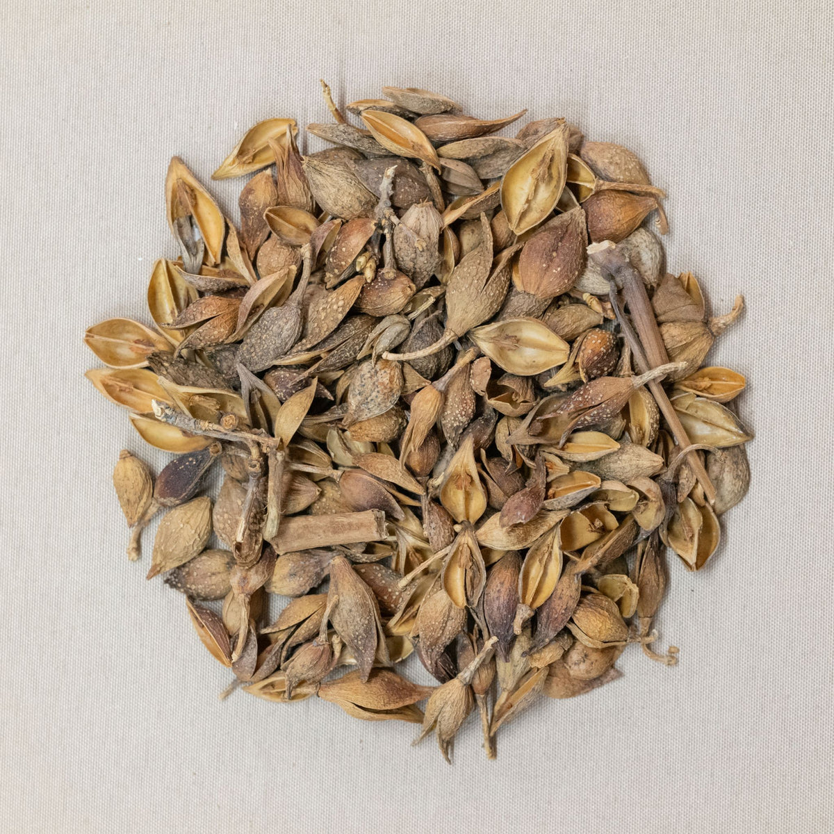 益氣解表茶