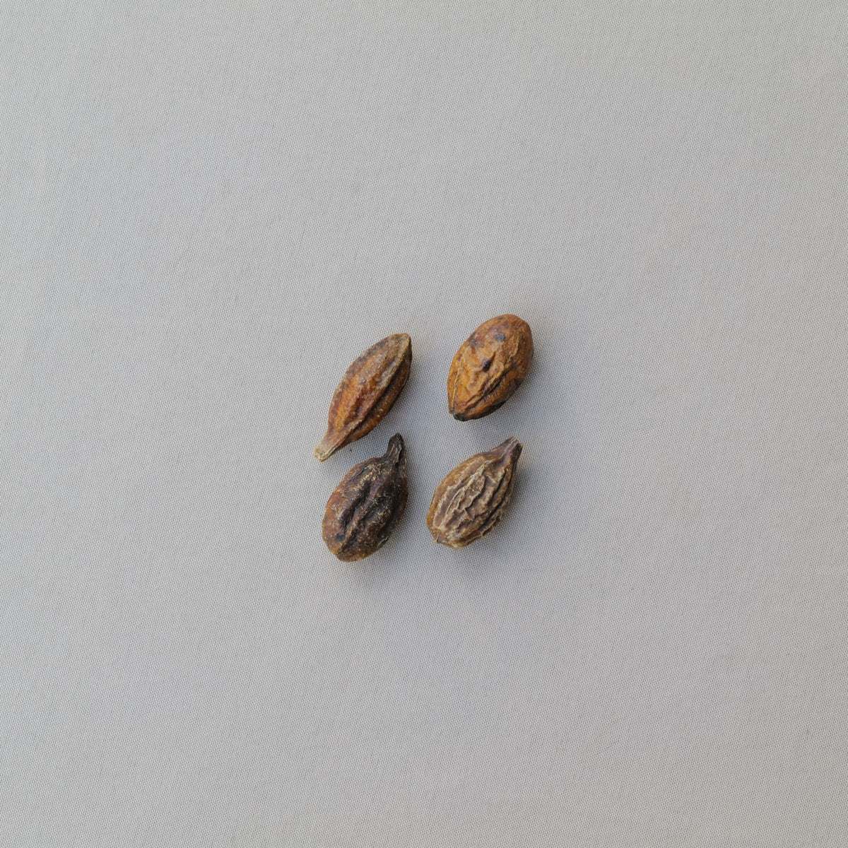 板藍根清熱利咽茶