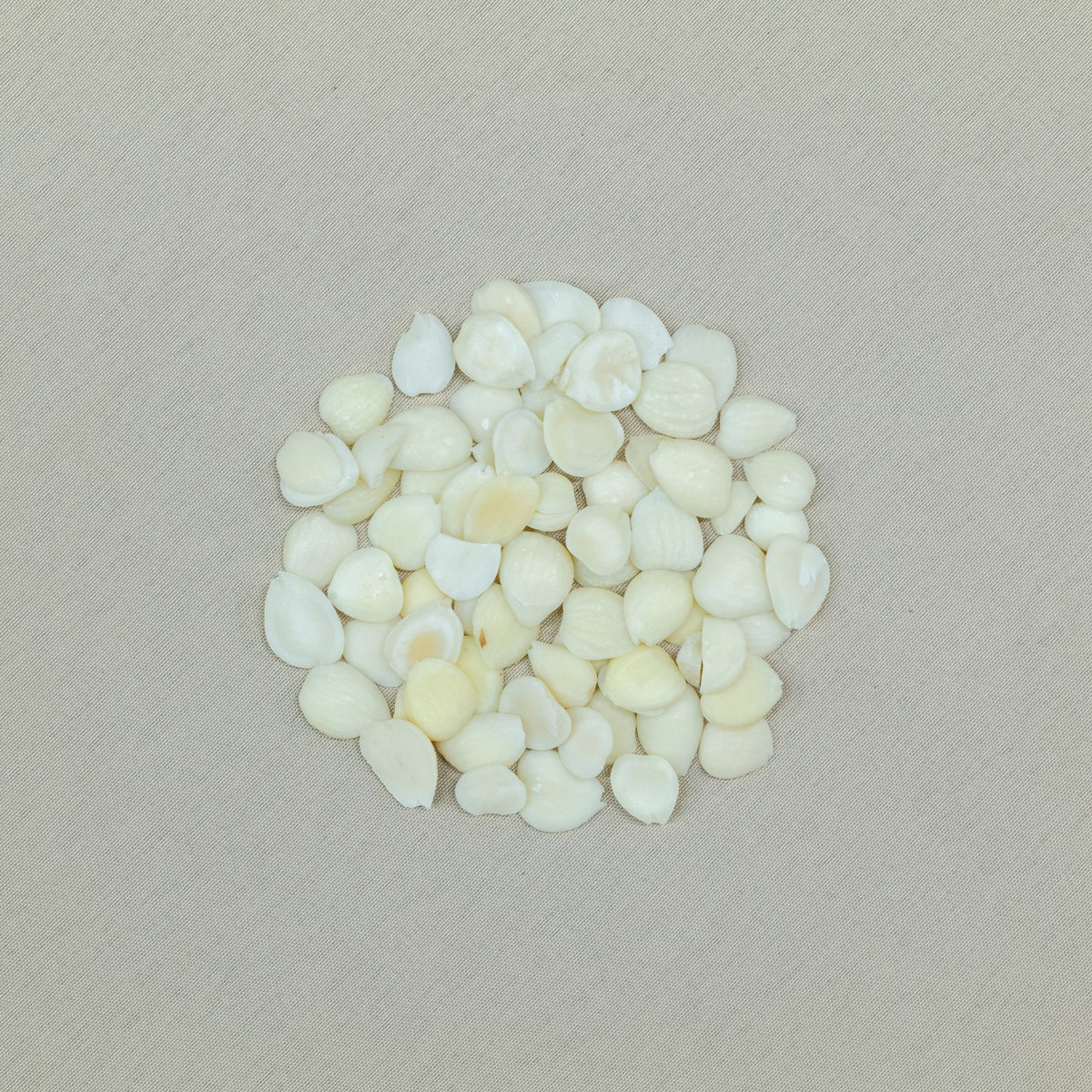 貝母雪梨茶