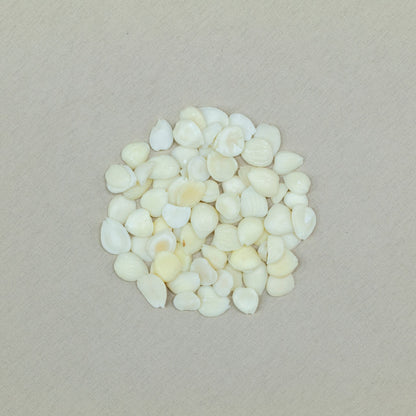 貝母雪梨茶