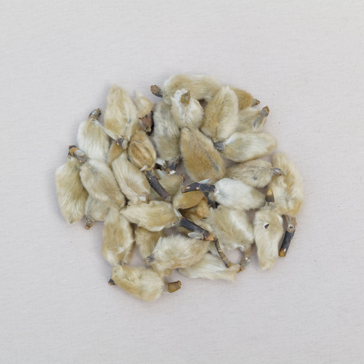 辛夷蒼耳清鼻茶