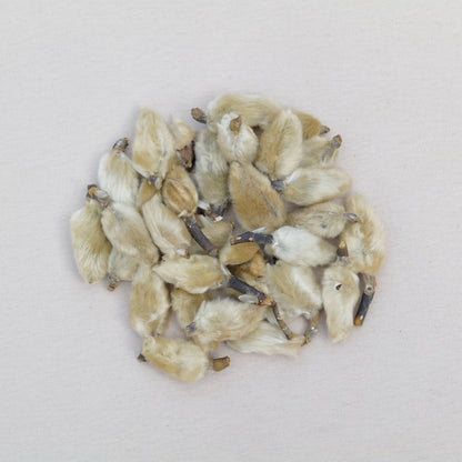 辛夷蒼耳清鼻茶
