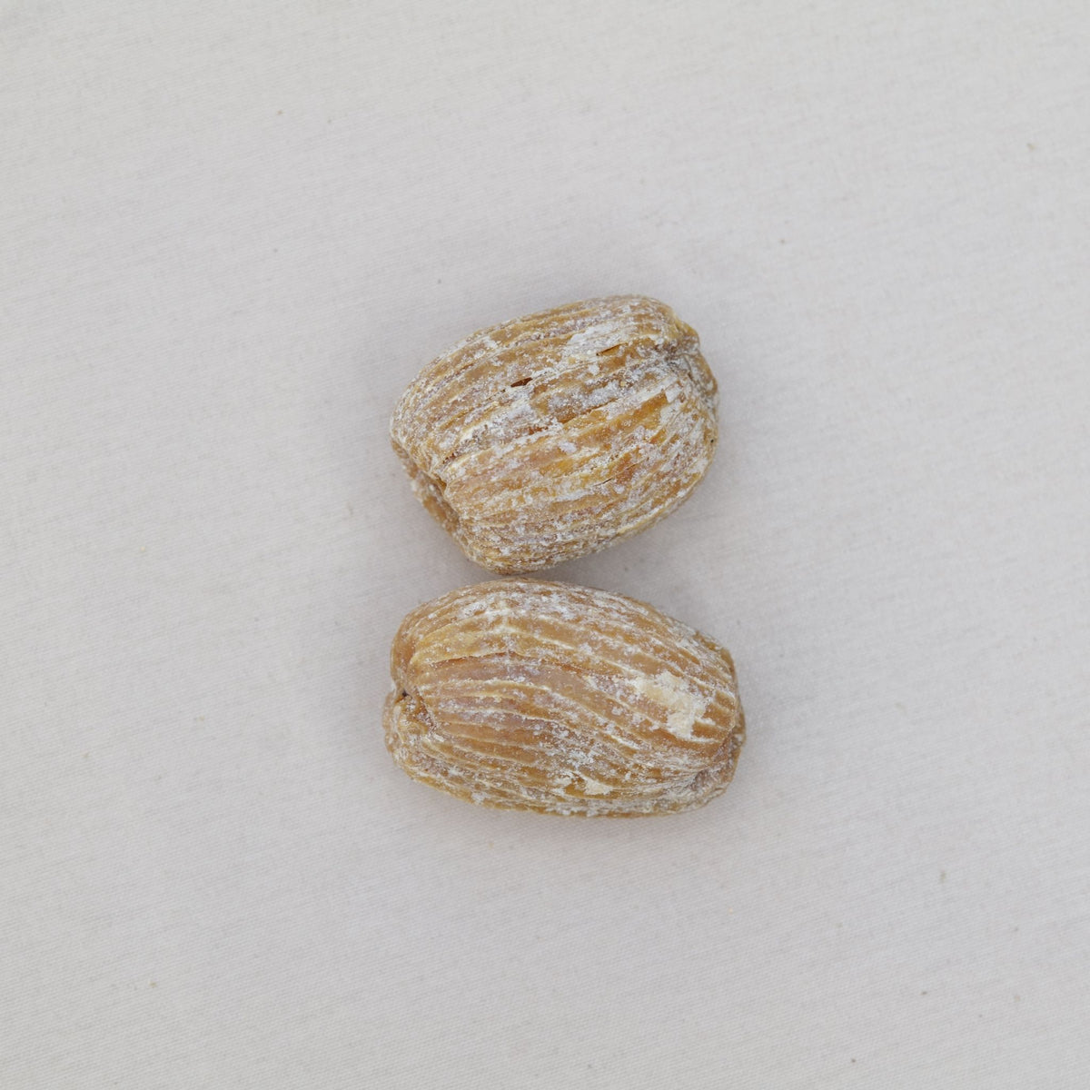 辛夷蒼耳清鼻茶