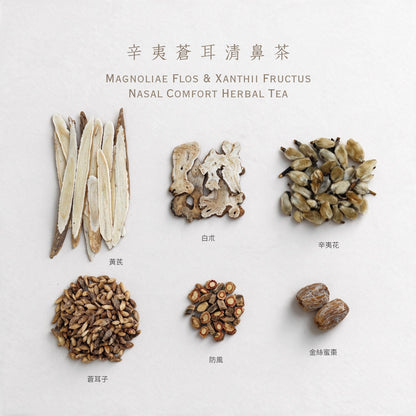 辛夷蒼耳清鼻茶
