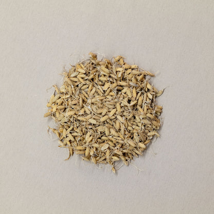 小兒健脾消食茶