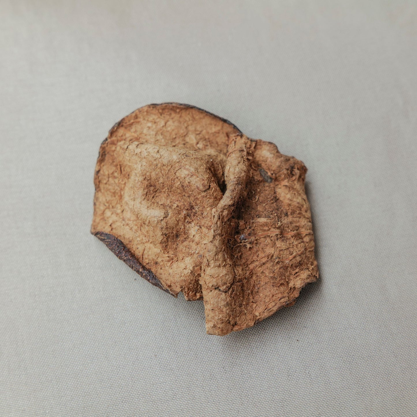 清肝熱祛濕湯