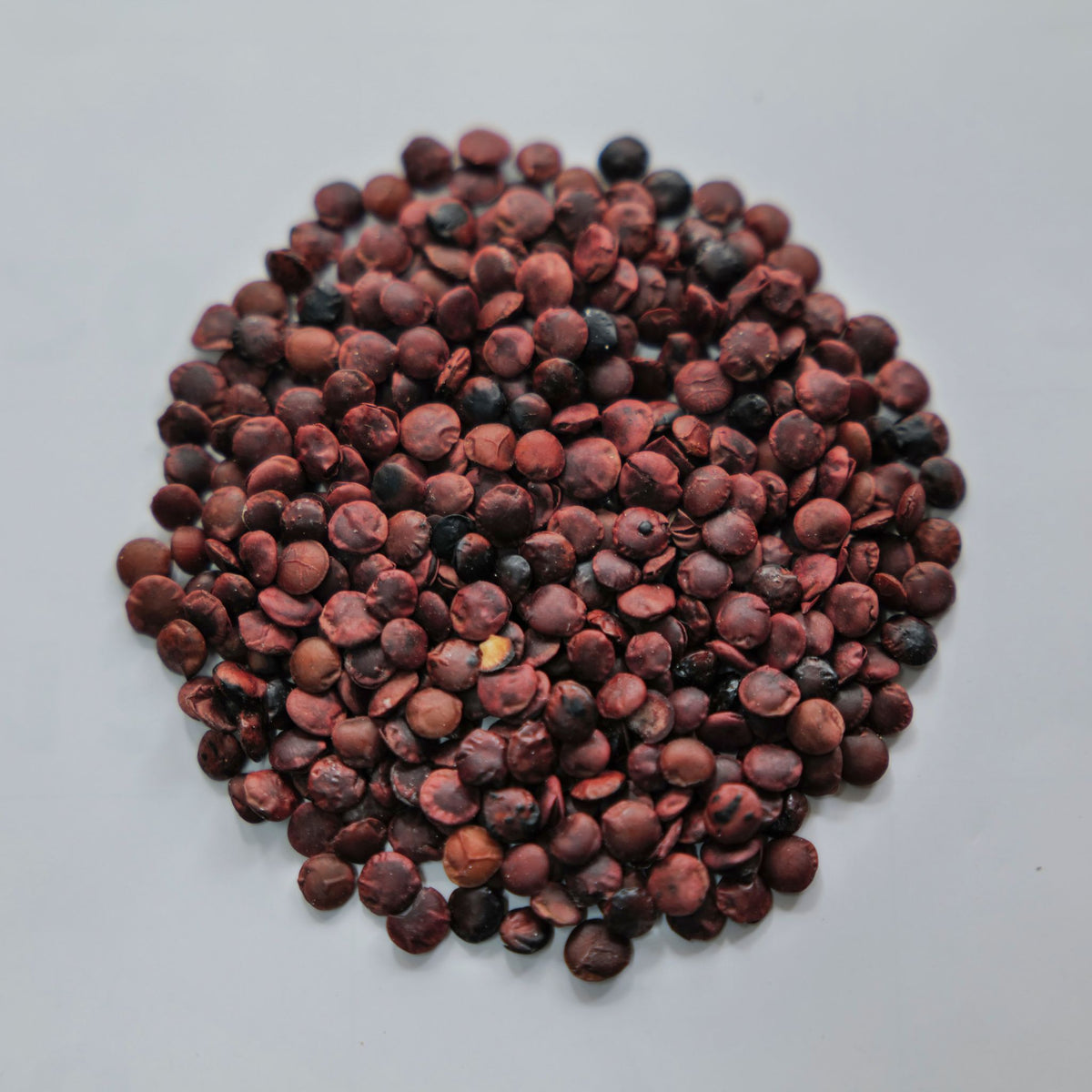 酸棗仁安神清心湯