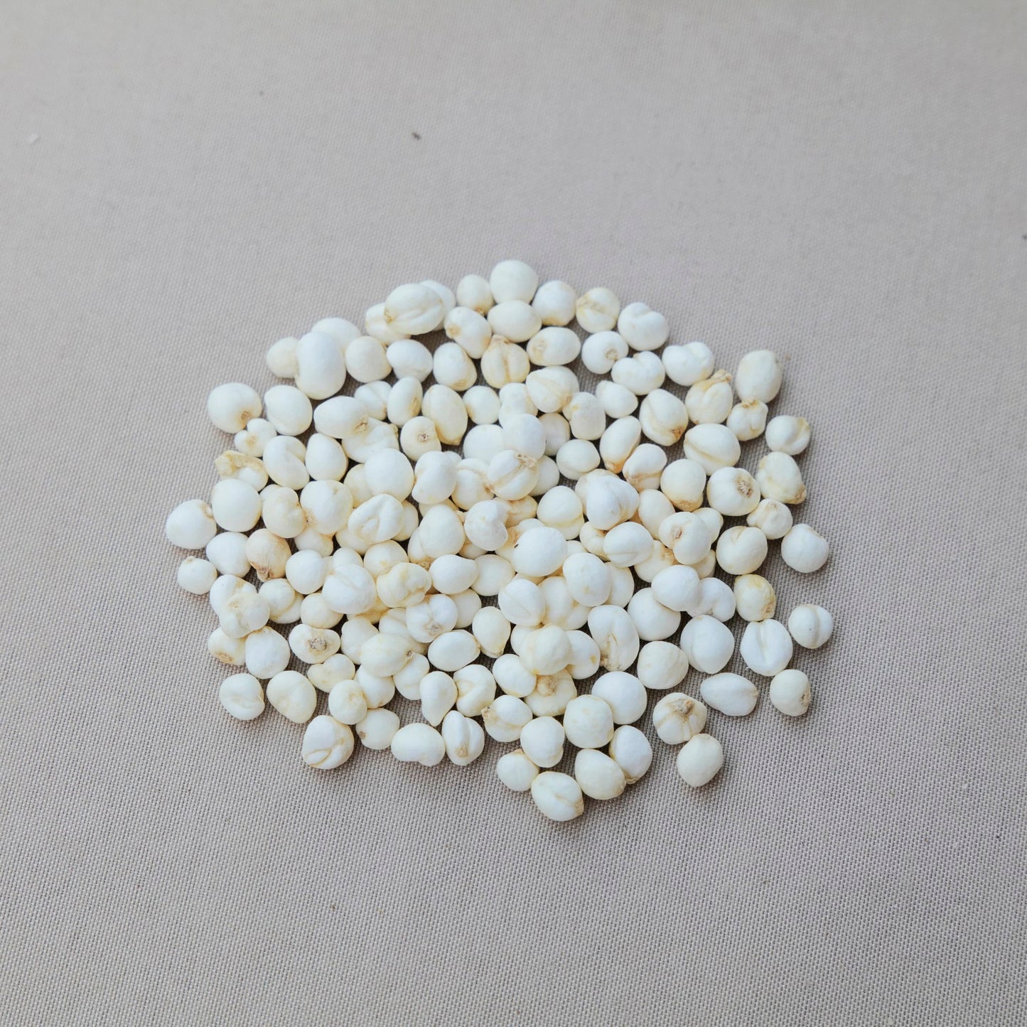 椰貝杏仁湯