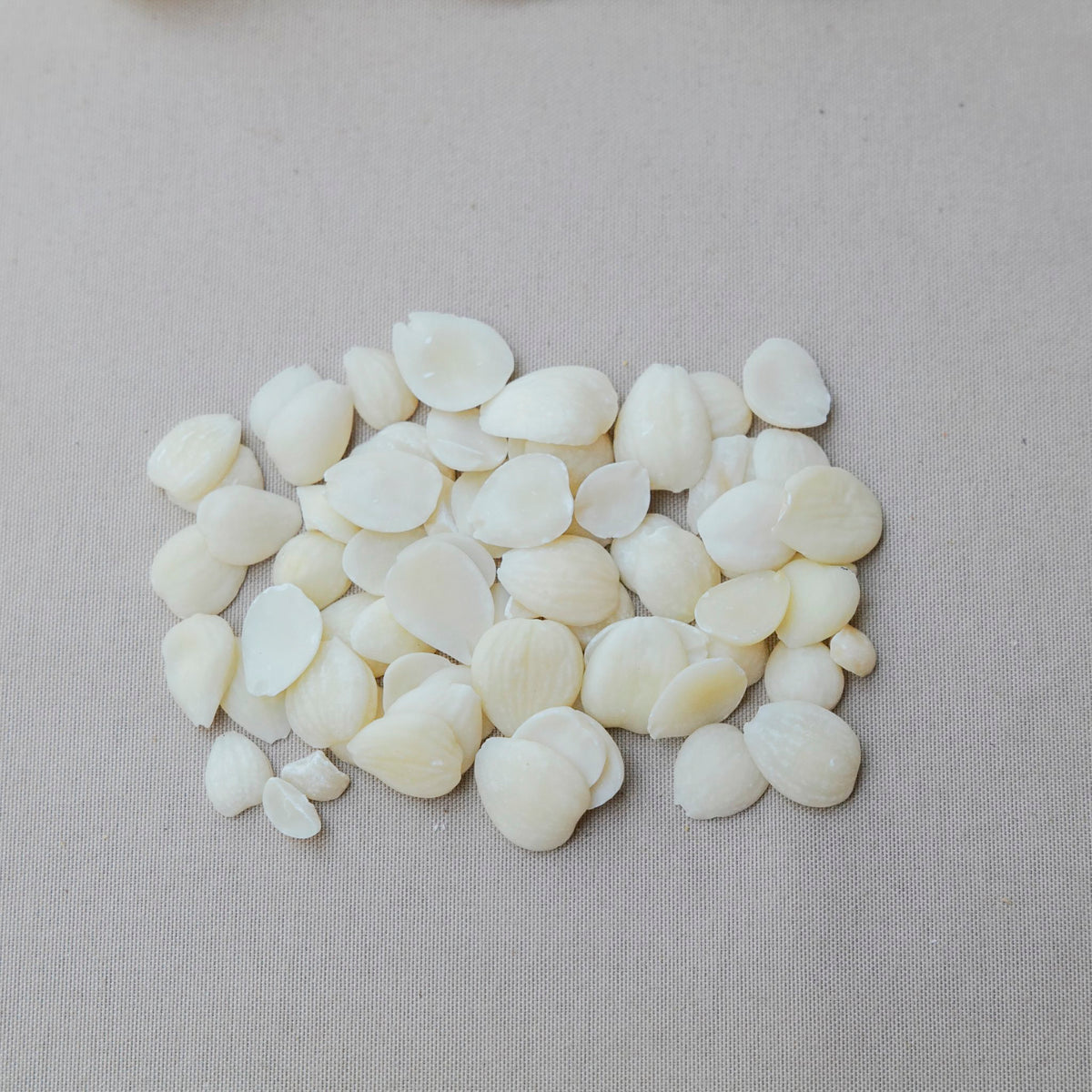 椰片小平貝潤肺湯