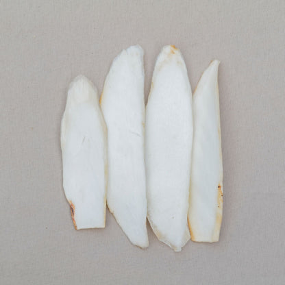 補中益氣湯