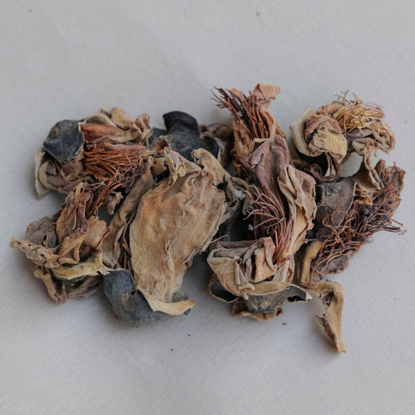 冬瓜解暑湯材料-木棉花