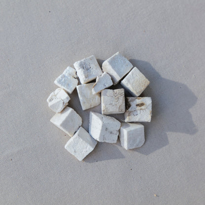 冬瓜解暑湯材料-茯苓