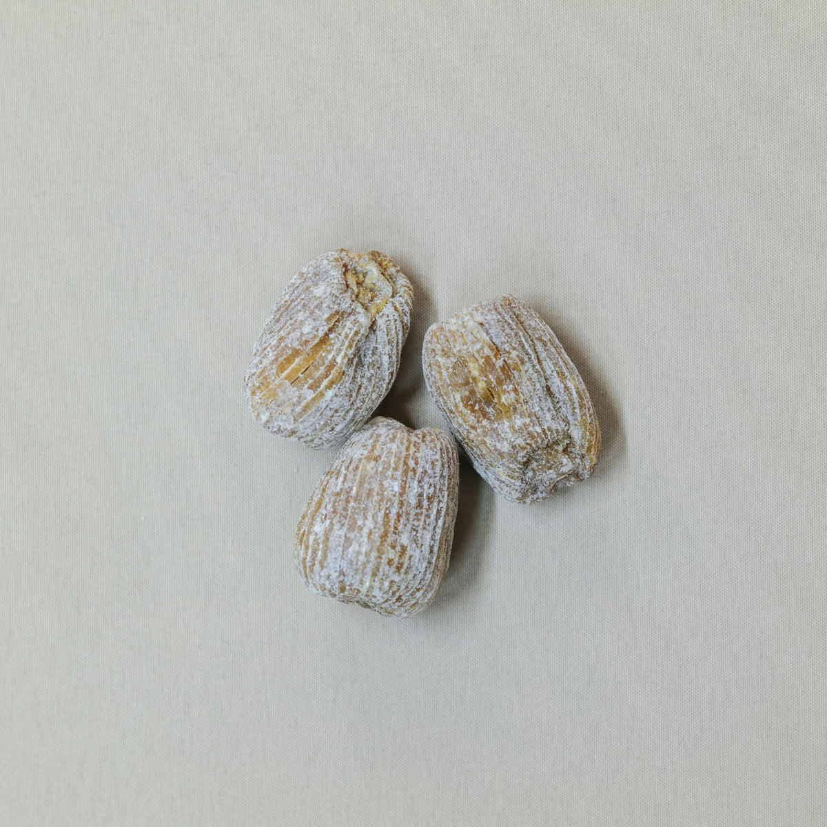 虎乳靈芝百合潤肺湯