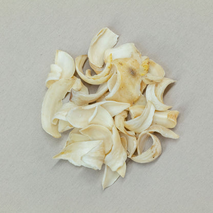 虎乳靈芝貝母潤肺湯