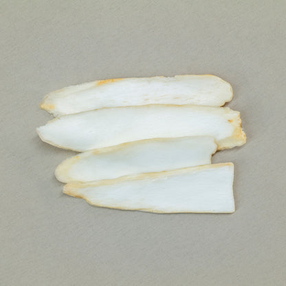 虎乳靈芝貝母潤肺湯