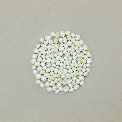 虎乳靈芝貝母潤肺湯