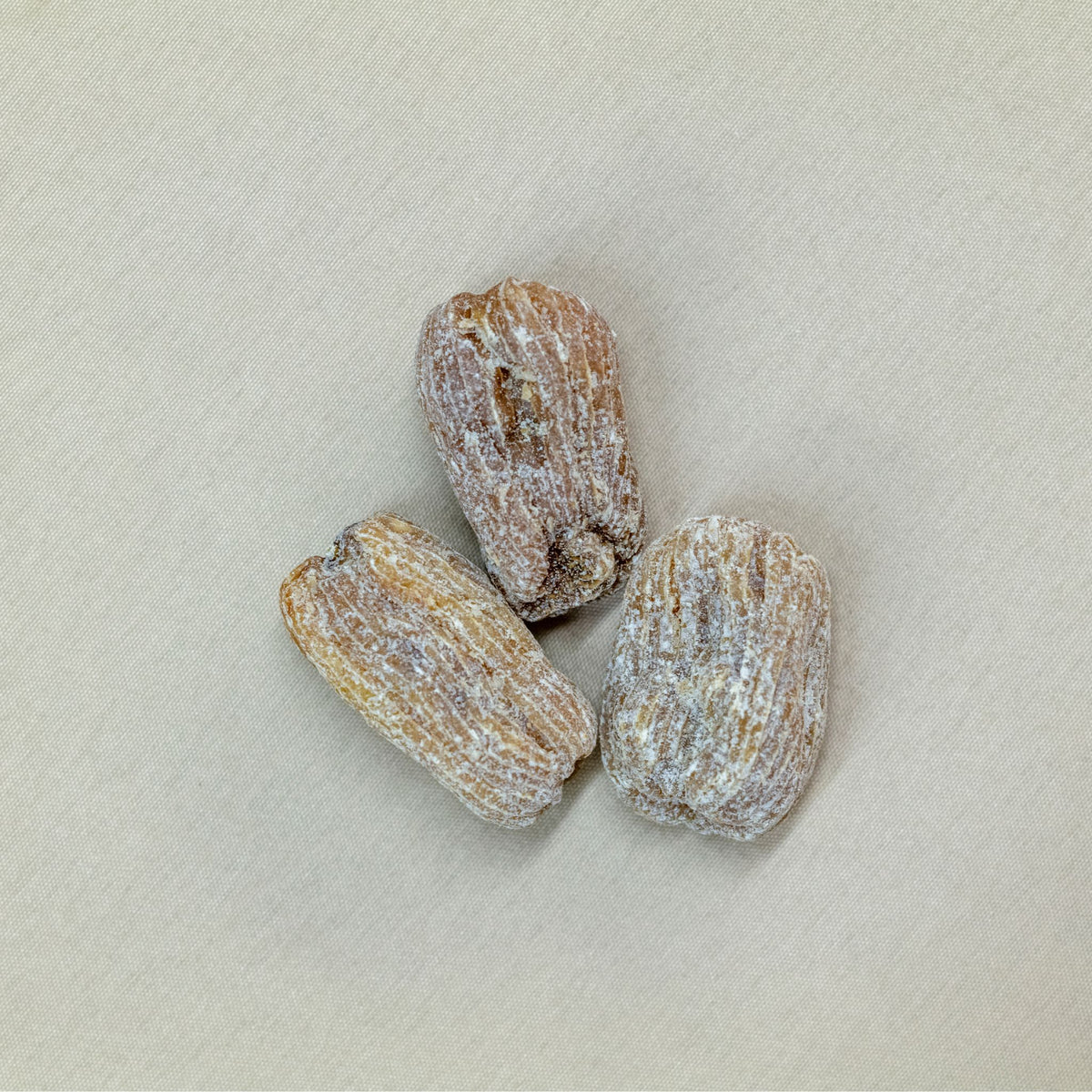 虎乳靈芝貝母潤肺湯