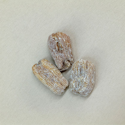 虎乳靈芝貝母潤肺湯